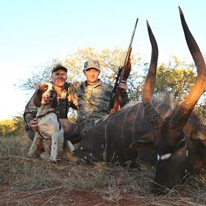 South Africa Hunting Nyala