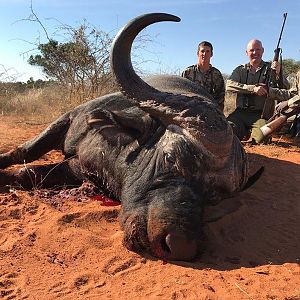 Buffalo Hunting South Africa