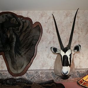 Blue Wildebeest Damaske & Gemsbok Shoulder Mount Taxidermy