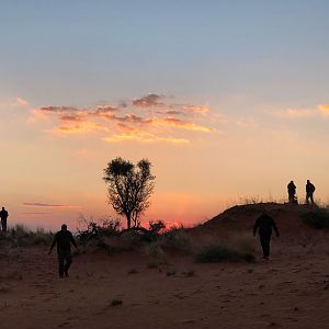 Kalahari Moments