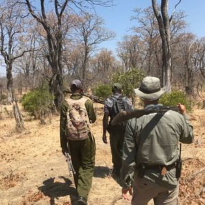 Hunting Kudu in ZImbabwe