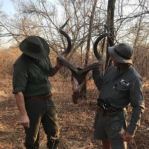 ZImbabwe Hunt Kudu