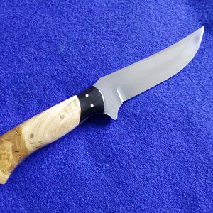 Buffalo Skinner Knife with Eucalyptus Root handles over curve backed Buffalo Horn bolsters