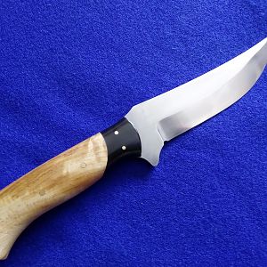 Buffalo Skinner Knife with Eucalyptus Root handles over curve backed Buffalo Horn bolsters