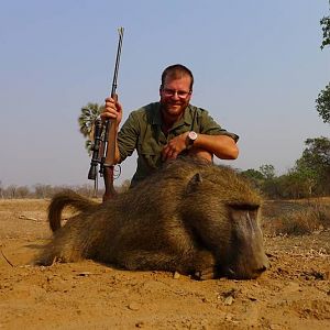 Zimbabwe Hunting Baboon