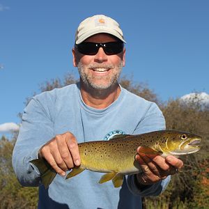 Western Montana USA Fishing Brown Trout
