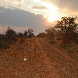 Namibia Hunting