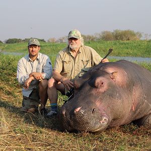 Hippo Hunting Namibia