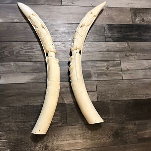 Two Pairs Of Ornate Carved African Elephant Tusks