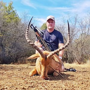 Crossbow Hunt Impala in South Africa
