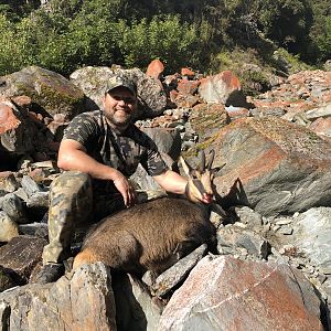 Chamois Hunt New Zealand