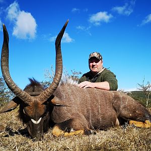 Nyala Hunt South Africa