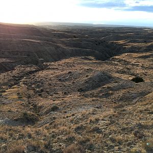 Deer & Pronghorn Hunting Wyoming USA