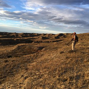 Wyoming USA Hunt Deer & Pronghorn