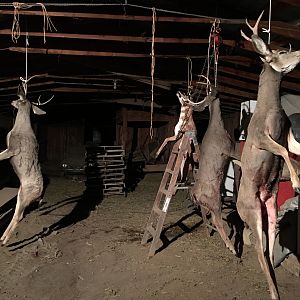 Wyoming USA Hunt Deer & Pronghorn