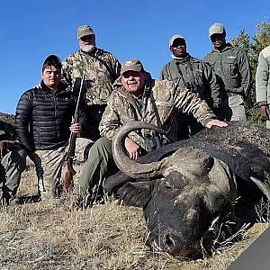 Buffalo Hunt with Karoo Wild Safaris