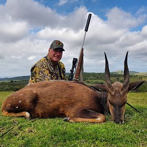 South Africa Hunt Bushbuck