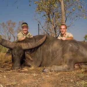 Hunting Asiatic Water Buffalo in Australia