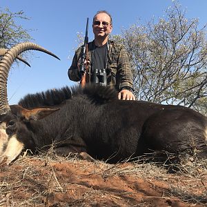 South Africa Hunting Sable Antelope