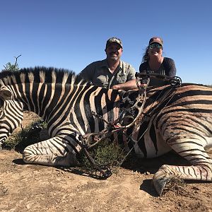 Burchell's Plain Zebra Bow Hunting in South Africa