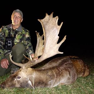 Romania Hunting Fallow Deer