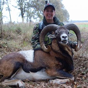 Hunt Mouflon in Poland