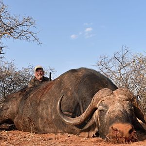 South Africa Hunting Cape Buffalo