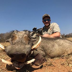 Warthog Bow Hunt South Africa