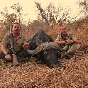 Zambia Hunt 40" Inch Cape Buffalo