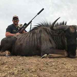Blue WIldebeest Hunting South Africa