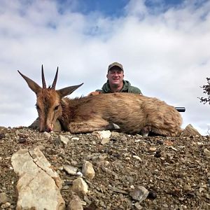 Hunting Duiker in South Africa