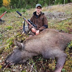 Moose Hunting