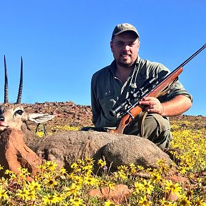 South Africa Hunting Grey Rhebok