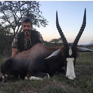 South Africa Hunting Blesbok