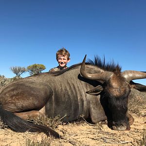 Blue Wildebeest Hunting South Africa