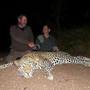 Hunt Leopard in Zimbabwe