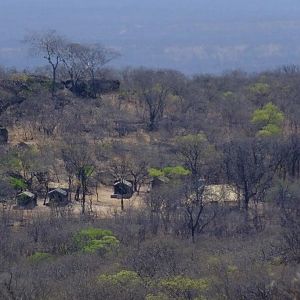 Hunting Camp Zimbabawe