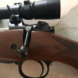 CZ 550 LH 375 H&H Rifle with America Hunting Rifles #2 upgrade