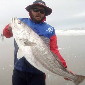 Namibia Fishing Silver Kob