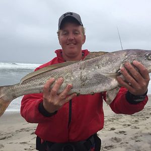 Fishing Silver Kob in Namibia