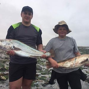 Silver Kob Fishing Namibia