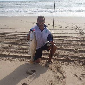 Silver Kob Fishing Namibia