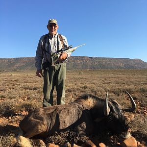 Hunt Black WIldebeest in South Africa