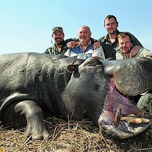 Hippo Hunting Namibia