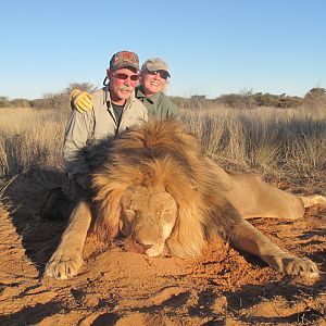 Namibia Hunting Lion