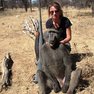 Namibia Hunting Baboon