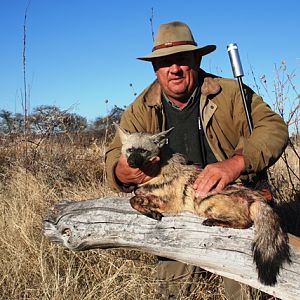Hunt Aardwolf in Namibia