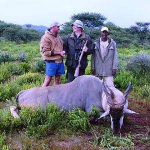 Hunting Eland in Namibia