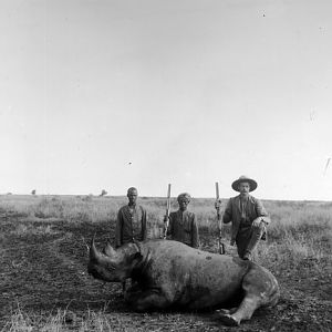 Rhino in a big game hunt in East Africa around 1895