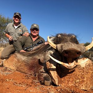 Hunting Warthog in South Africa